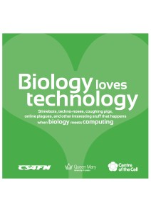 A hoverfly on a leaf