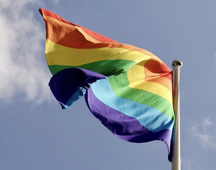 Pride flag
Image by lillen from Pixabay

