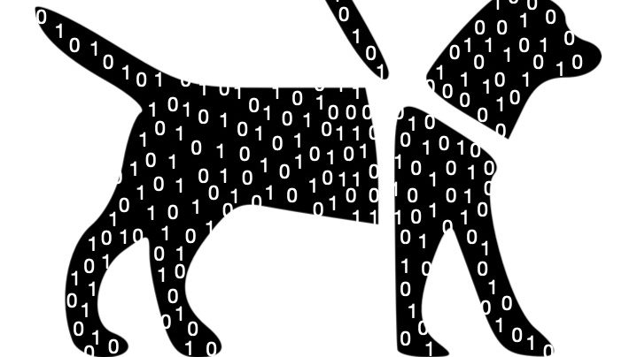 virtual guide dog - dog silhouette covered in 1s and 0s