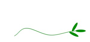 A green wavy line with three leaves at the end