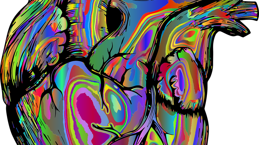 Colourful depiction of a human heart