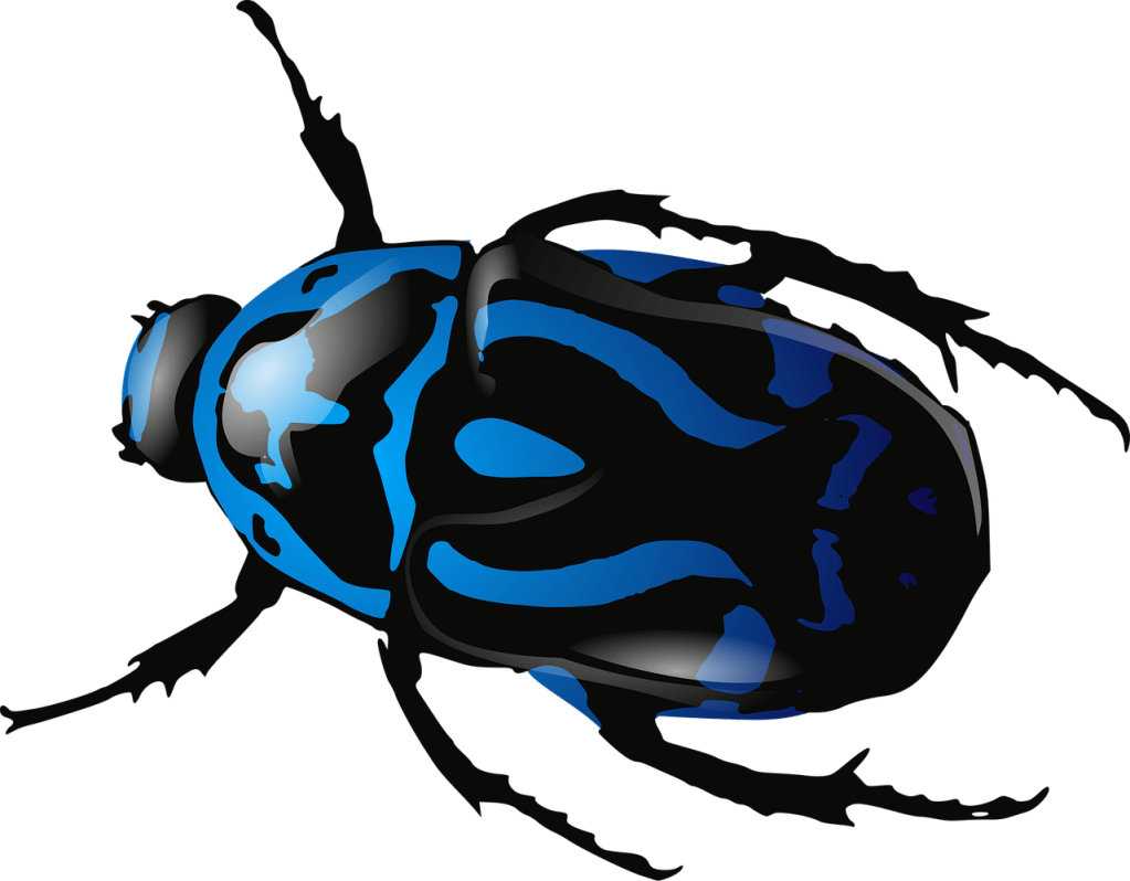 A blue beetle